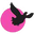 h