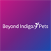 Beyond Indigo Pets