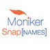 Moniker DNS
